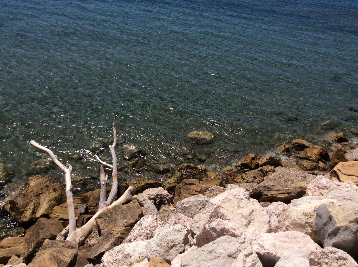 Appartamento Appart Studio du Cap - CosyProvence La Ciotat Esterno foto